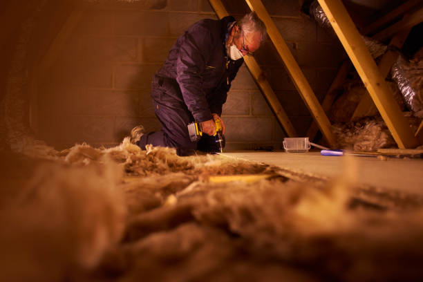 Best DIY Insulation Kits and Guidance in Brookston, IN